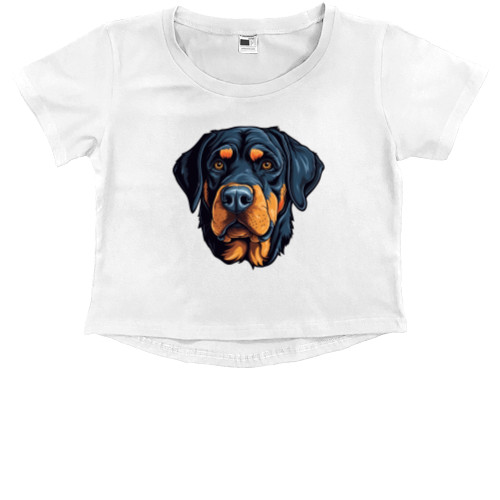 Rottweiler 11