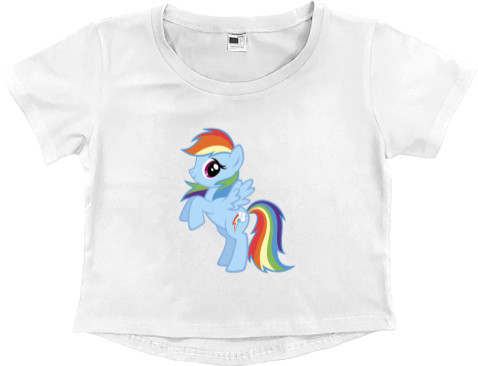 My little pony Rainbow Dash