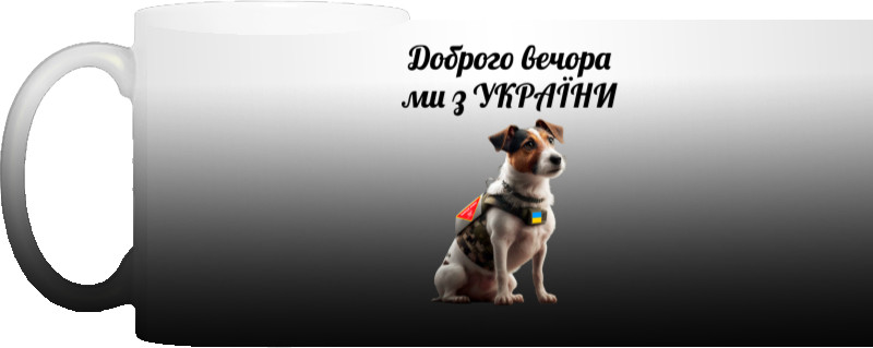 Mi from Ukraine dog Patron