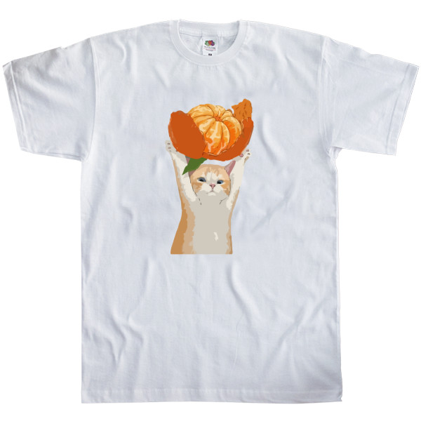 кіт тримає мандаринку