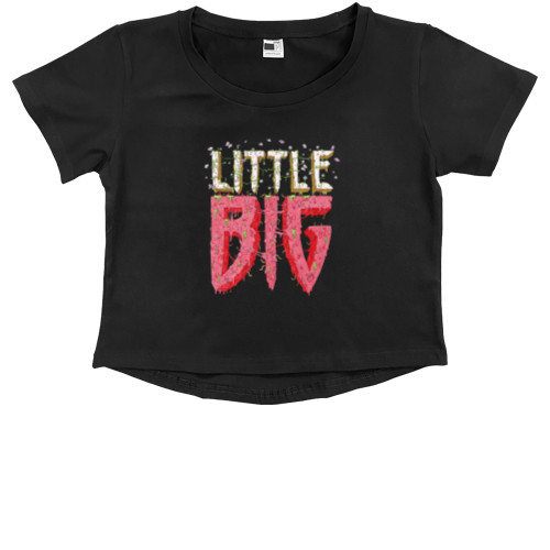 Little Big Logo