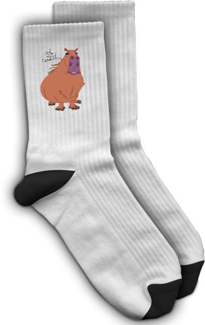 Capybara - Socks - I don't have cannabis - Mfest