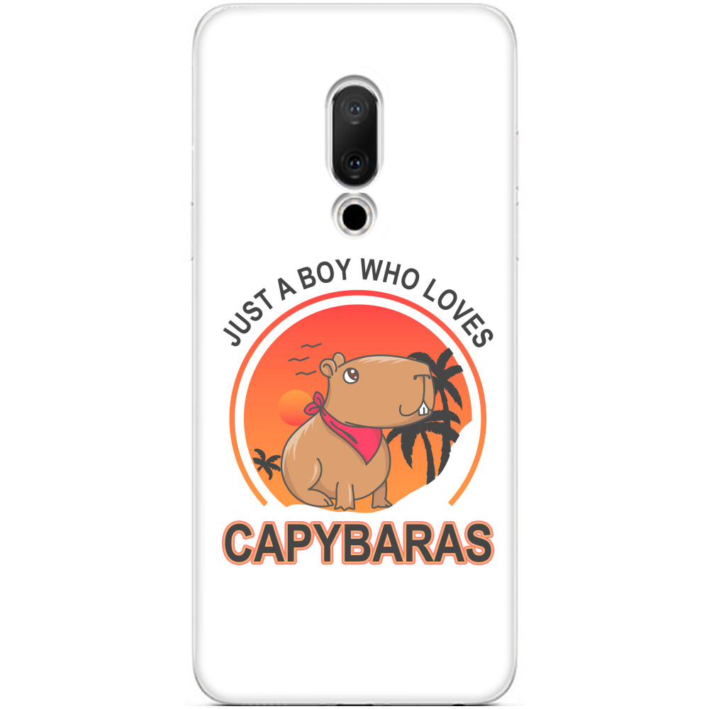 Just A Boy Who Loves Capybaras