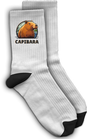 Сapybara