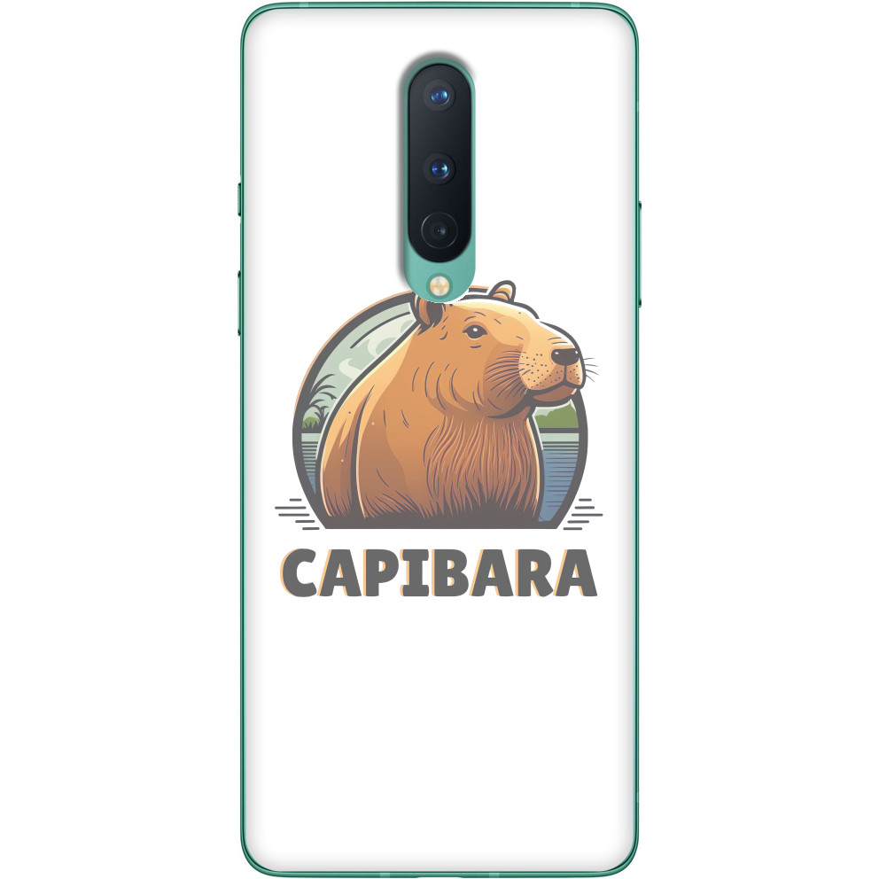 Сapybara