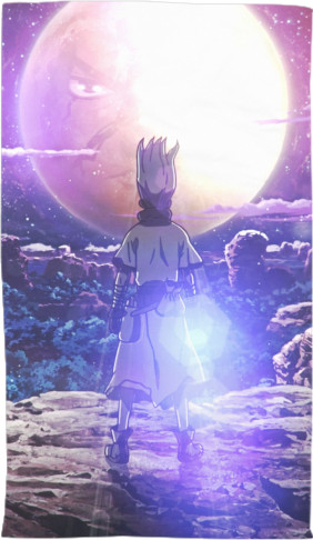Dr. stone / DOCTOR STONE 5
