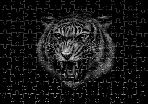Тигр білий