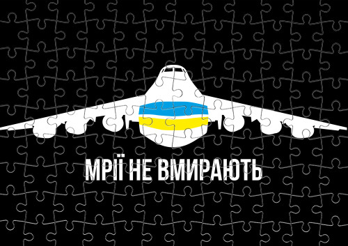 Мрії не вмирають, Літак Мрія Ан-225