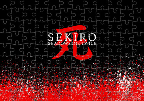 Sekiro: Shadows Die Twice (6)