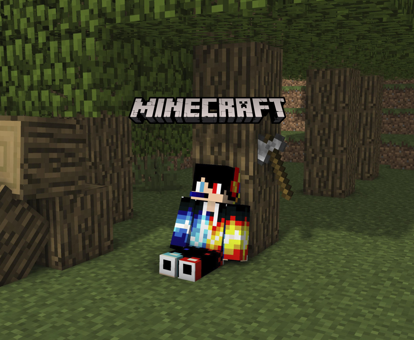 MINECRAFT (10)