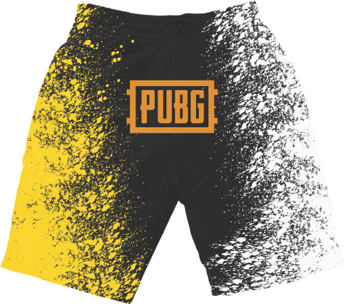 PUBG (23)