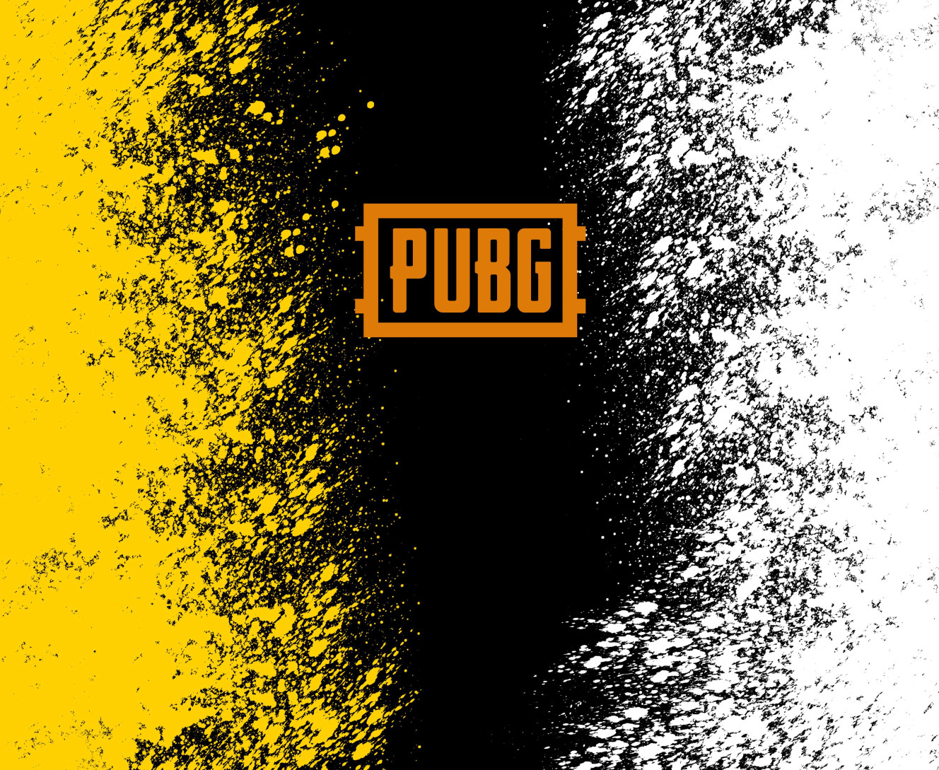 PUBG (23)