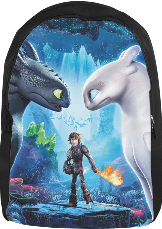How to train your dragon 11