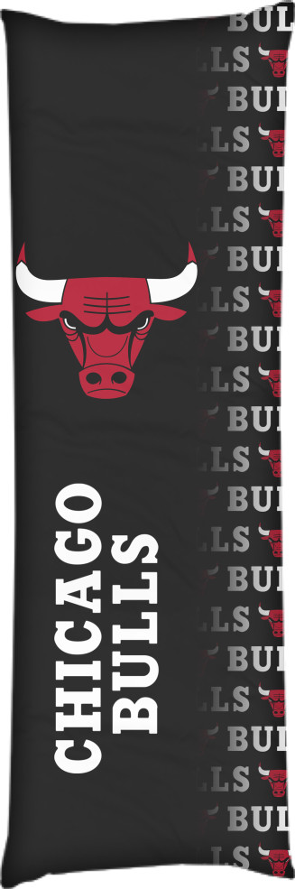 Chicago Bulls [7]