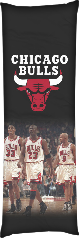 Chicago Bulls [4]