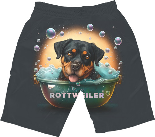 Rottweiler 12