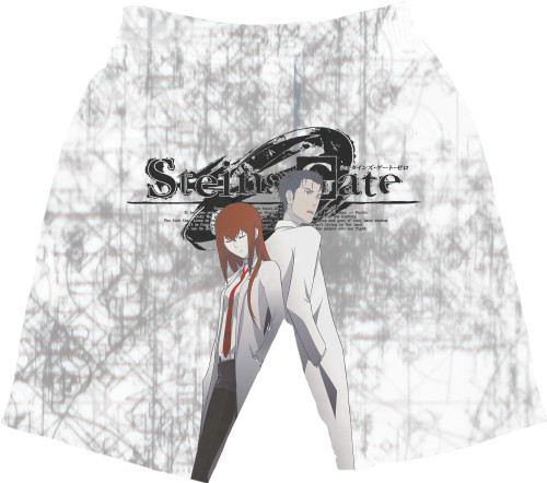 Врата Штейна / Steins Gate 3