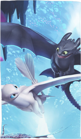 How to Train Your Dragon 8