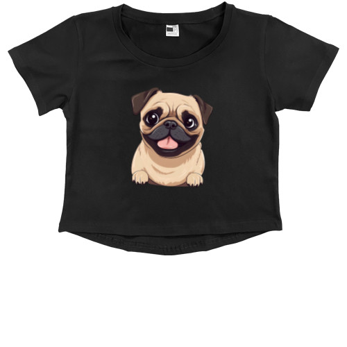 Pug