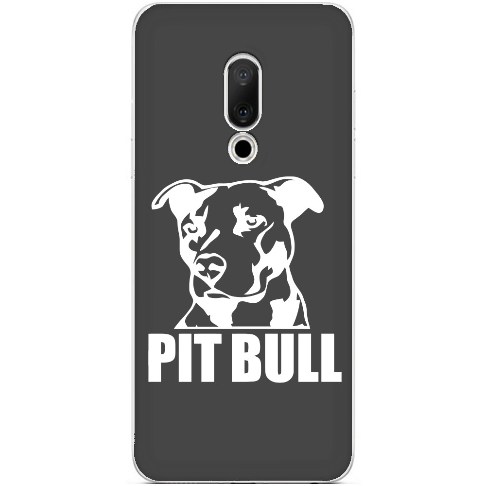American Pit Bull Terrier