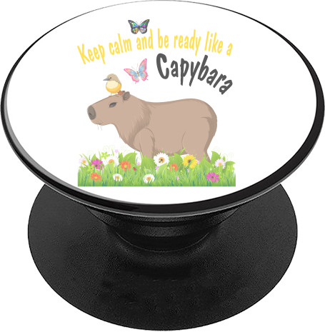 Keep calm Capybara