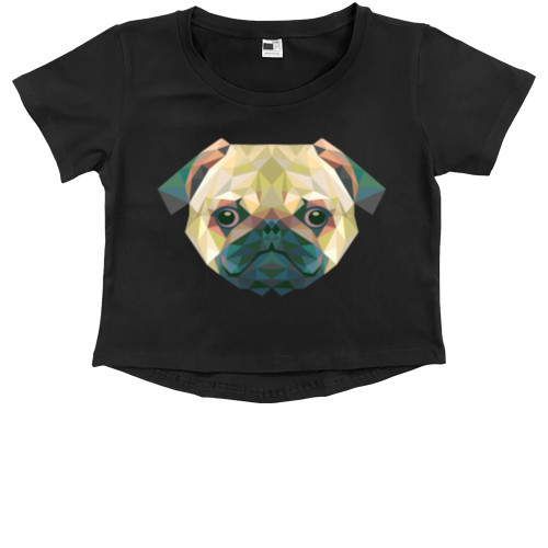 Pug