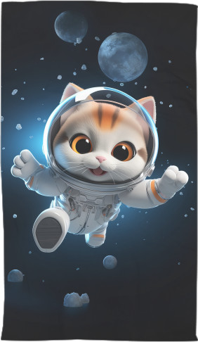  Cat in space