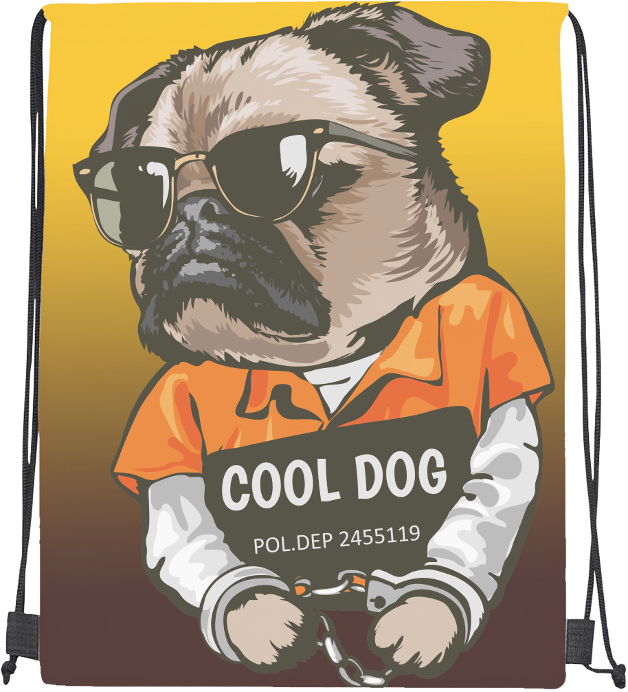 Cool dog