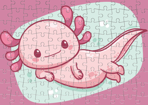 Pink axolotl