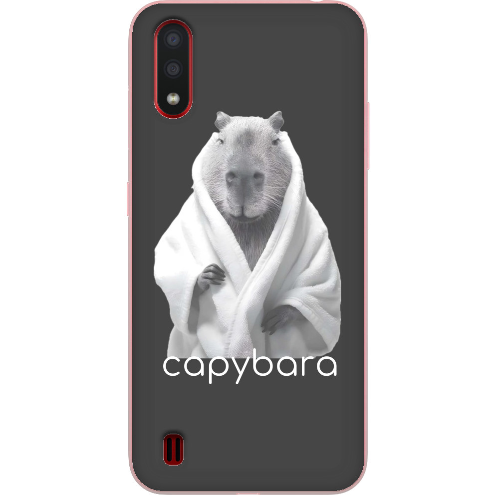 Capybara in a robe