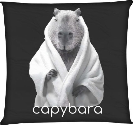 Capybara in a robe