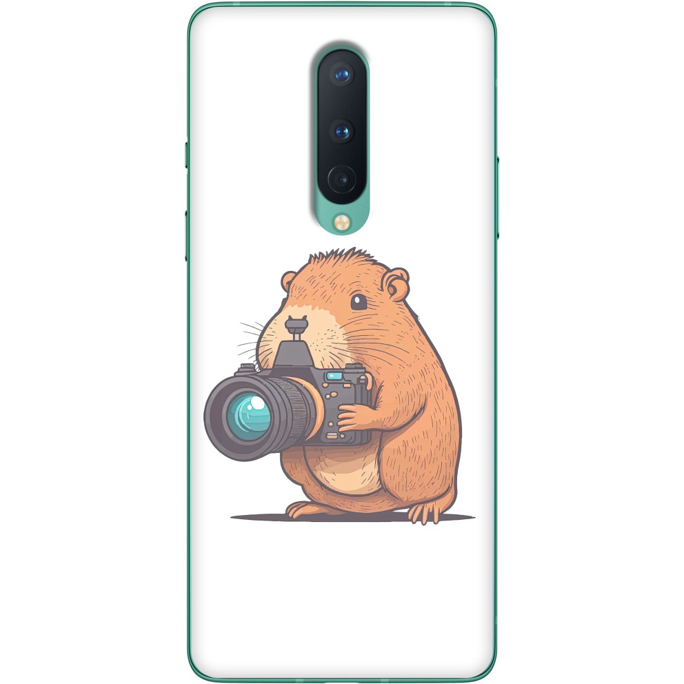 Capybara with a camera