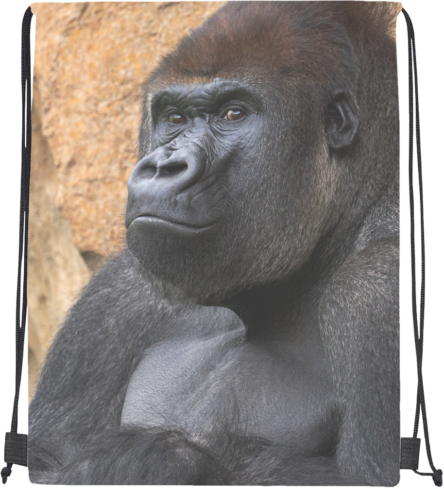 Gorilla