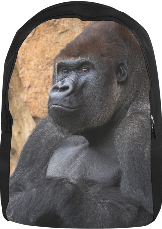 Gorilla