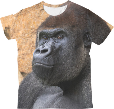 Gorilla