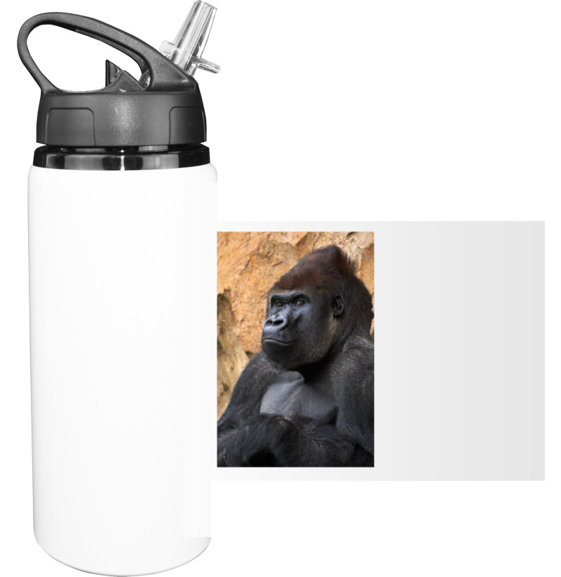 Gorilla