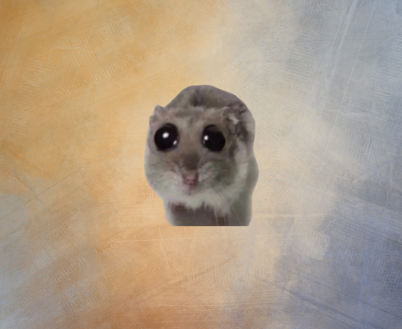 Сумний хом'як | Sad hamster