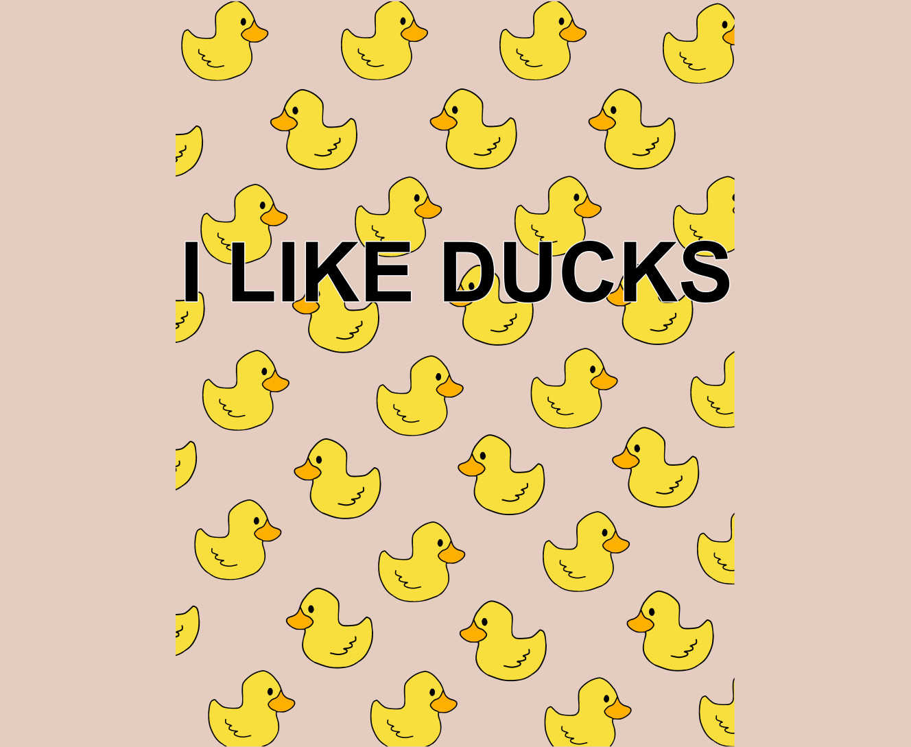 I like ducks