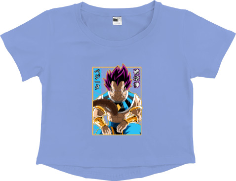 Vegeta Hakaishin