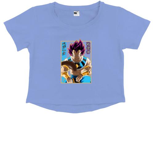 Vegeta Hakaishin