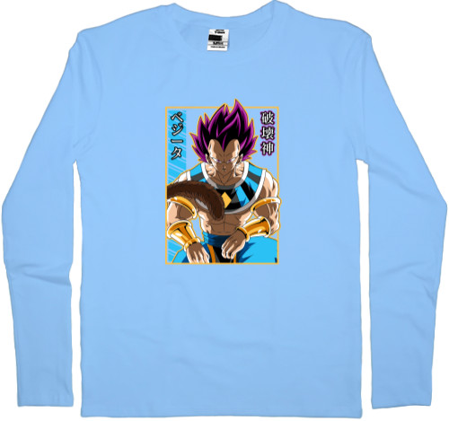 Vegeta Hakaishin