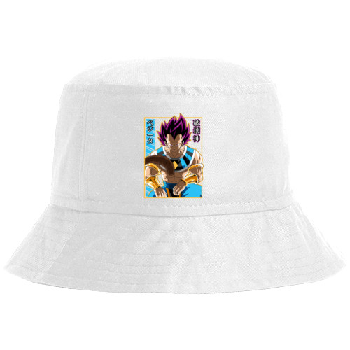 Vegeta Hakaishin