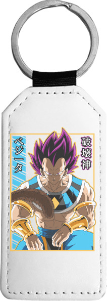 Vegeta Hakaishin