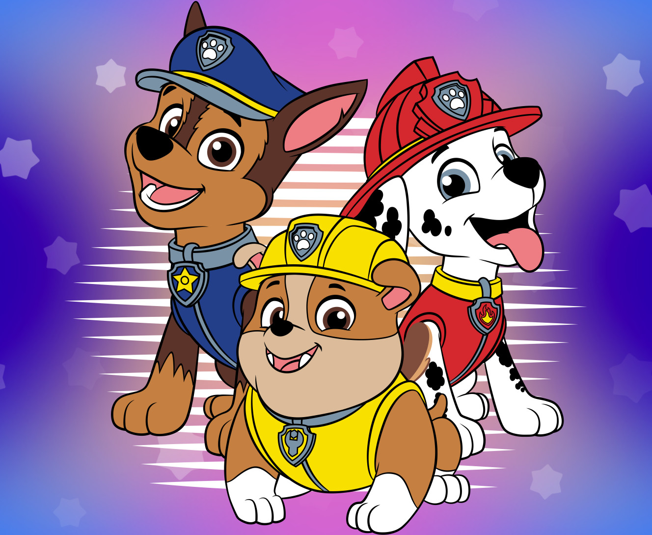 Paw Patrol  5